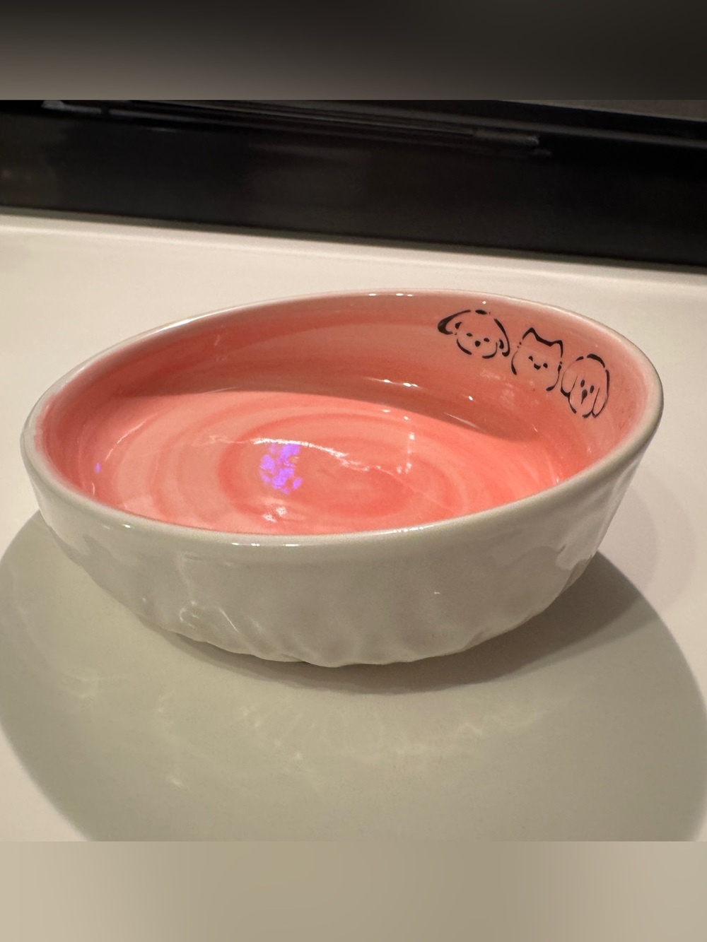 Tilted Pet Food Bowl